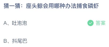 蚂蚁庄园今天正确答案4.11：座头鲸会用哪种办法捕食磷虾？吐泡泡还是抖尾巴