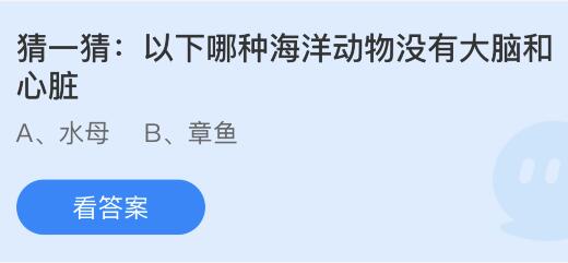 蚂蚁庄园今日答案最新4.12：以下哪种海洋动物没有大脑和心脏？