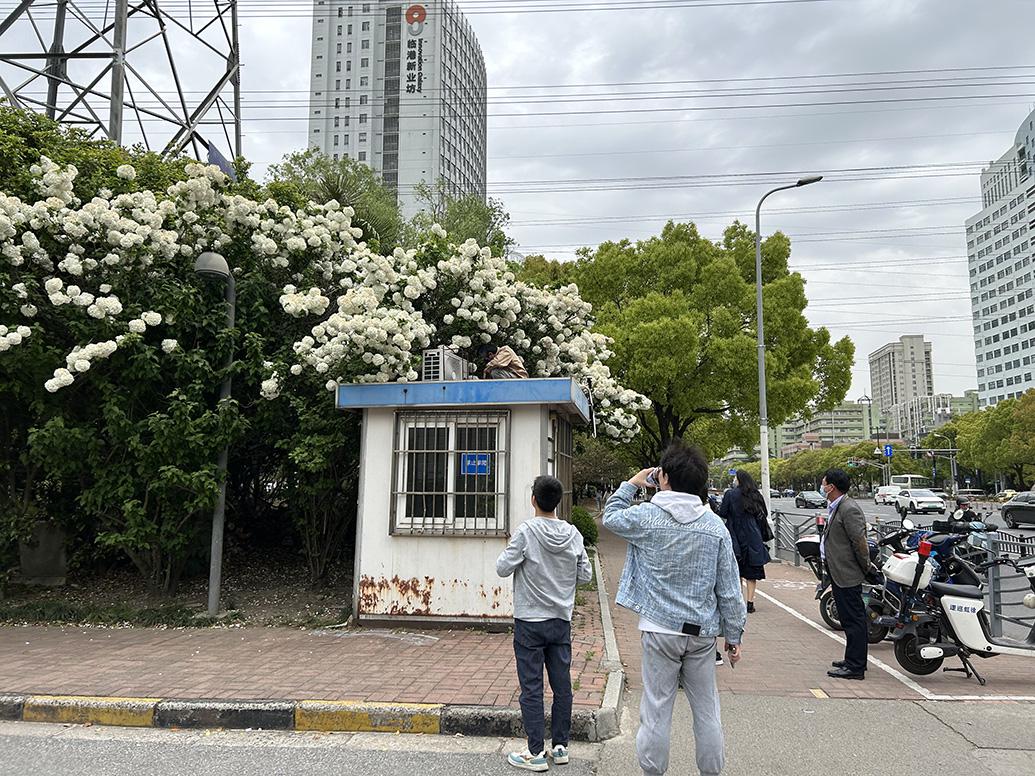 爬上岗亭顶部拍“网红照”引争议，记者现场探访：已在拆除搬离