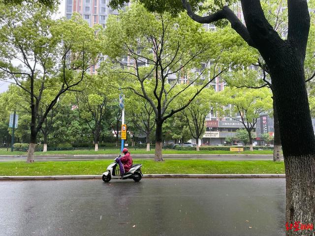 邻居称江阴枪击案一嫌犯“曾有不止一家公司，感觉不缺钱”