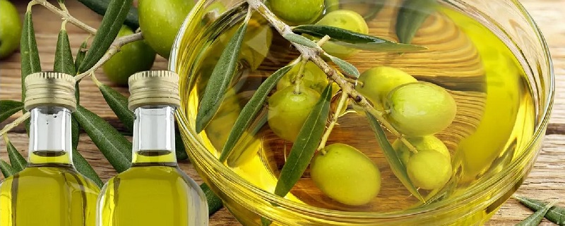 橄榄油低温状态下会凝固吗 橄榄油低温状态下会凝固吗能吃吗