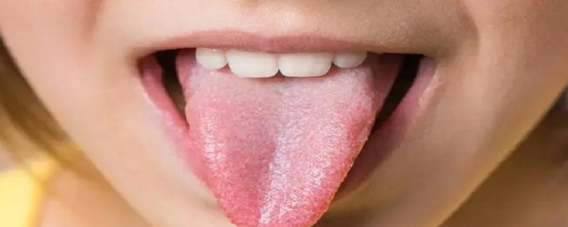 舌质是什么