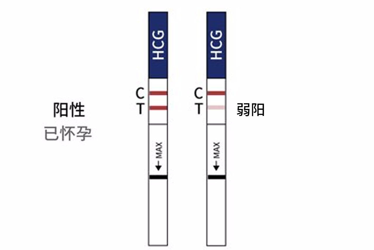 移植后试纸加深图 移植后试纸加深了是怀孕了吗