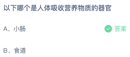 蚂蚁庄园今日答案最新5.31：以下哪个是人体吸收营养物质的器官？小肠还是食道