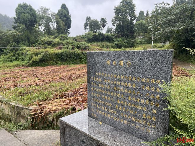 袁仁国生前在NICU抢救十余天，村民称其之前祭祖倒茅台酒