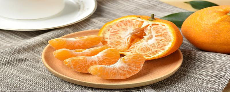 橘子和桔子区别在哪 橘子和桔子区别在哪百度