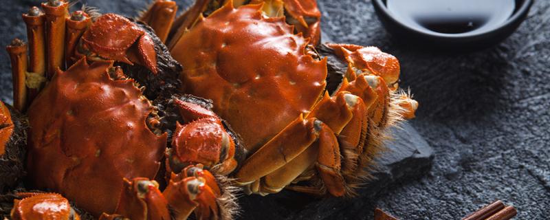 大闸蟹季节什么时候最好吃 蟹肥美的经典句子