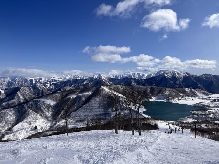 一中国游客在日滑雪场身亡（日本 滑雪场）