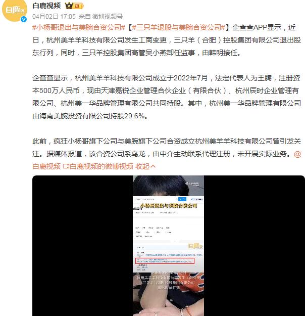 小杨哥退出与美腕合资公司（小杨哥全名）