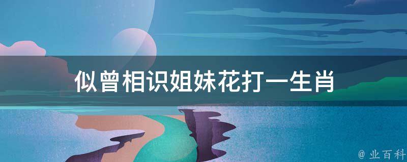 似曾相识姐妹花打一生肖 似曾相识打一字