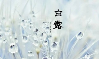 白露节气应怎样养生（白露时节怎么养生）