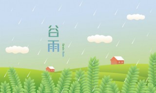 北方谷雨种什么（北方谷雨种什么菜好）