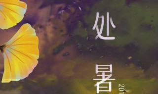 处暑季节代表什么意思（处暑季节是什么意思）