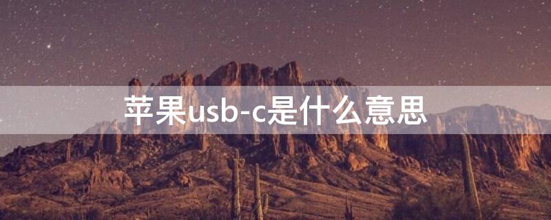 iPhoneusb-c是什么意思（苹果usb-c是什么意思）