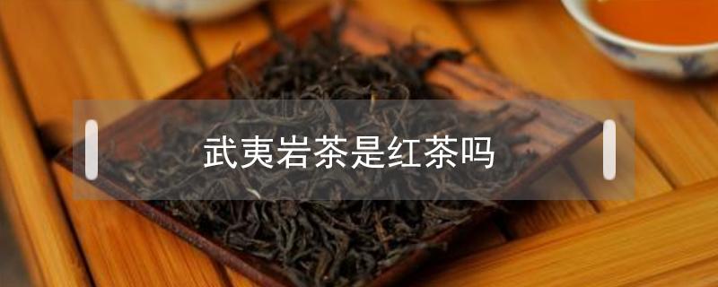 武夷岩茶是红茶吗