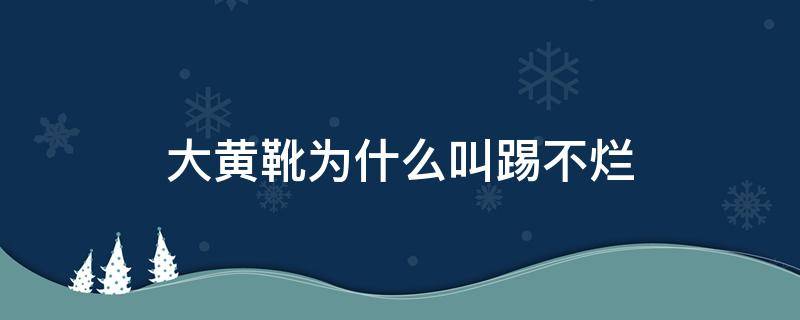 大黄靴为什么叫踢不烂（踢不烂大黄靴会越穿越大吗）