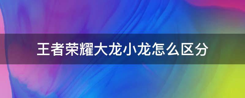 王者荣耀大龙小龙怎么区分（王者荣耀大小龙是什么）