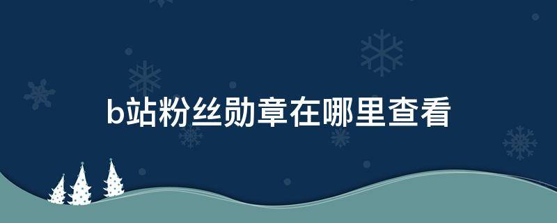 b站粉丝勋章在哪里查看 b站在哪看自己的粉丝勋章